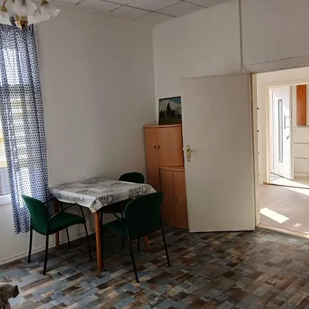 Apartment Mit Garten Zentral Schwerin (Mecklenburg-Vorpommern)
